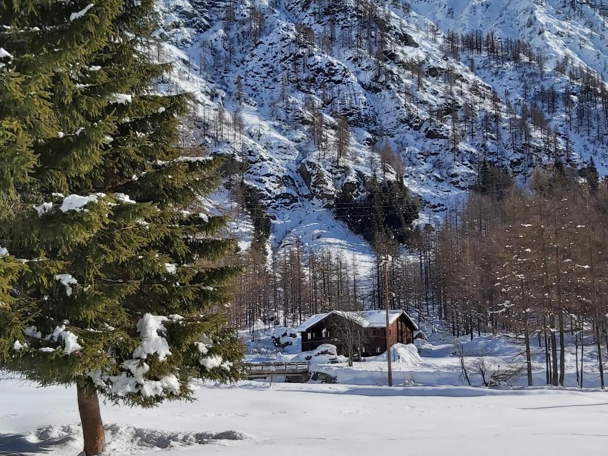 Chalet Rosa Dei Monti Piamprato Exterior foto