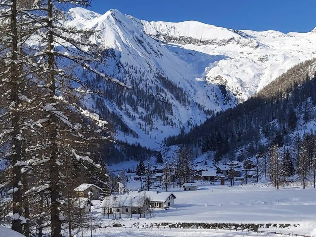 Chalet Rosa Dei Monti Piamprato Exterior foto