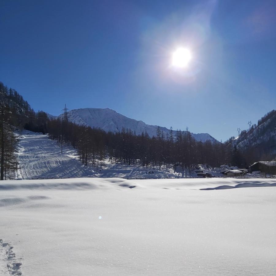 Chalet Rosa Dei Monti Piamprato Exterior foto