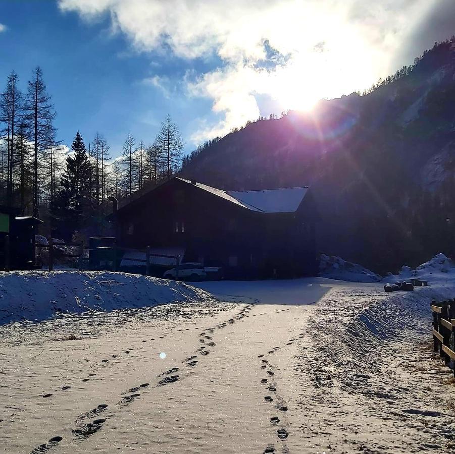 Chalet Rosa Dei Monti Piamprato Exterior foto