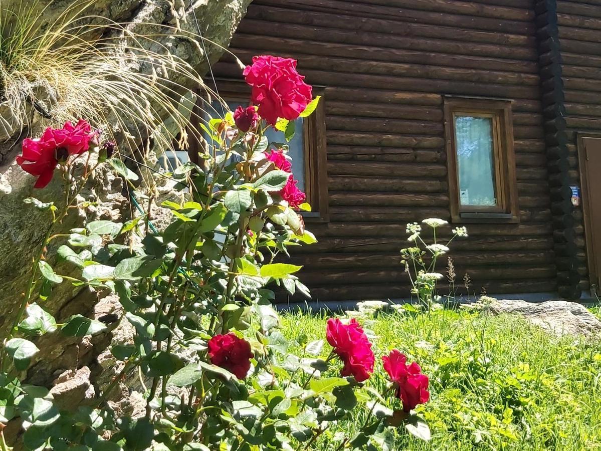 Chalet Rosa Dei Monti Piamprato Exterior foto