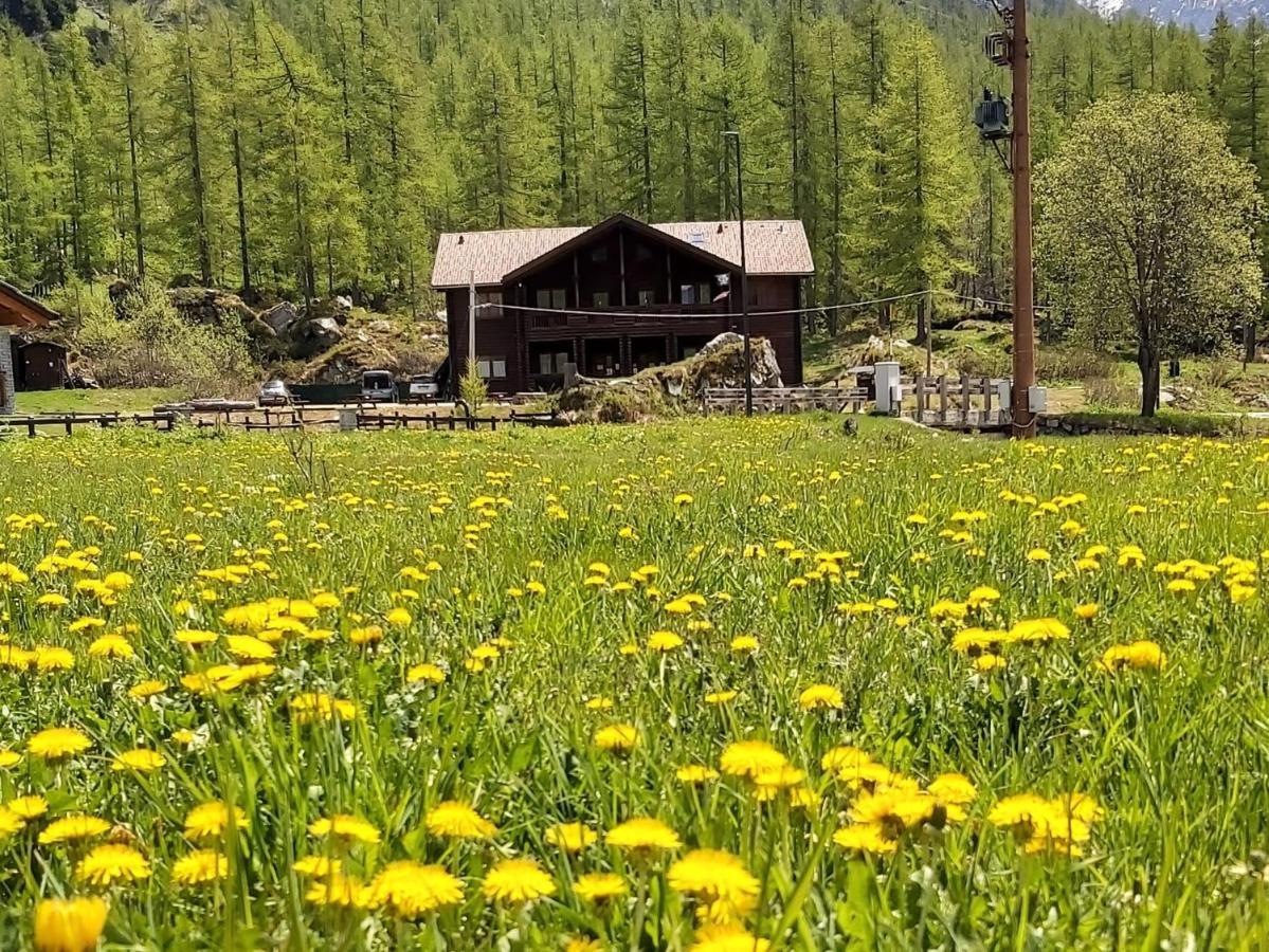 Chalet Rosa Dei Monti Piamprato Exterior foto