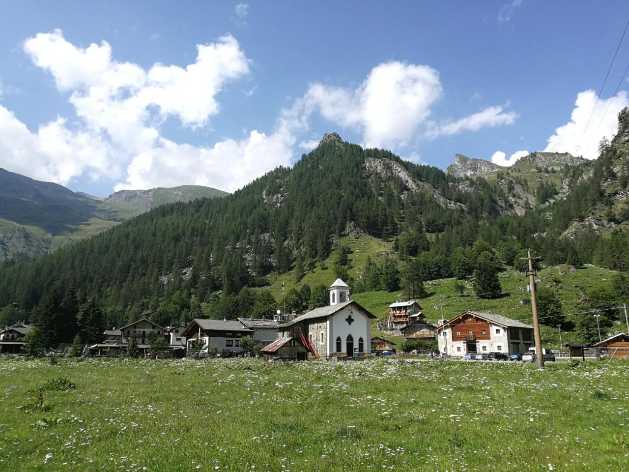Chalet Rosa Dei Monti Piamprato Exterior foto