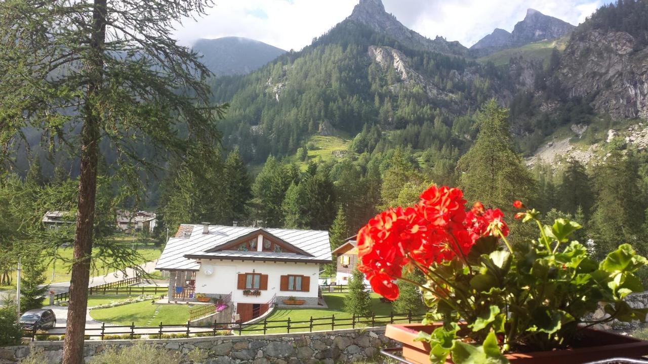 Chalet Rosa Dei Monti Piamprato Exterior foto